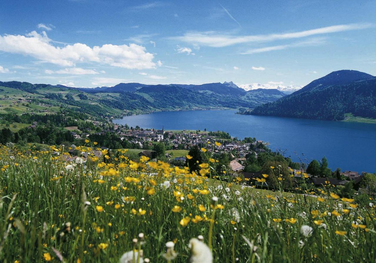 Seminarhotel Am Aegerisee Unterägeri Buitenkant foto